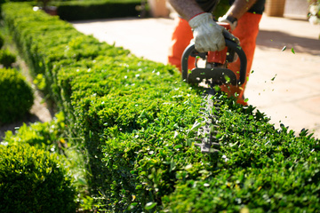 entretien de jardin Montpellier